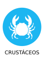 IconoAlergenoCrustaceo-Crustaceans_icon-icons.com_67603