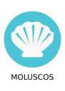 IconoAlergenoMoluscos-Mollusks_icon-icons.com_67596